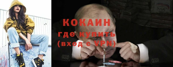 мдпв Осташков