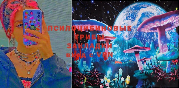 бошки Вяземский