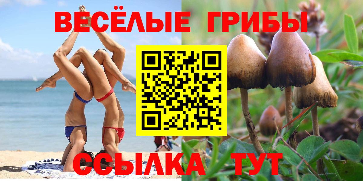 Галлюциногенные грибы GOLDEN TEACHER  Вход с VPN  Североуральск 