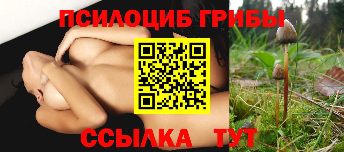 Галлюциногенные грибы мицелий Североуральск