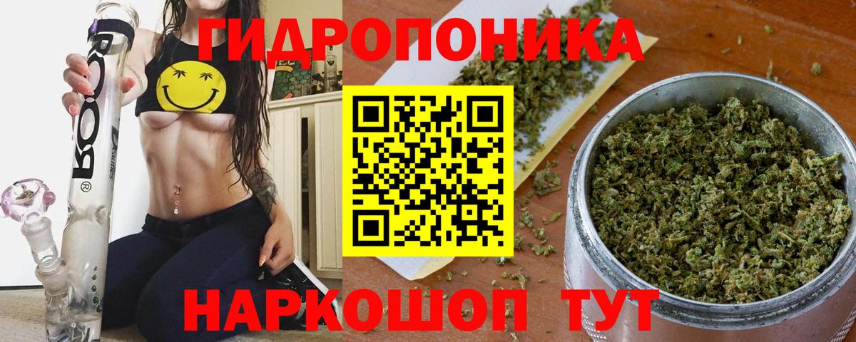 Бошки Шишки план Североуральск